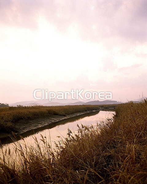 국내작가포토 - 클립아트코리아 :: 통로이미지(주) __적합한콘텐츠,가을,강,계절,낮,산,실외,일출[일몰],풀,하늘
