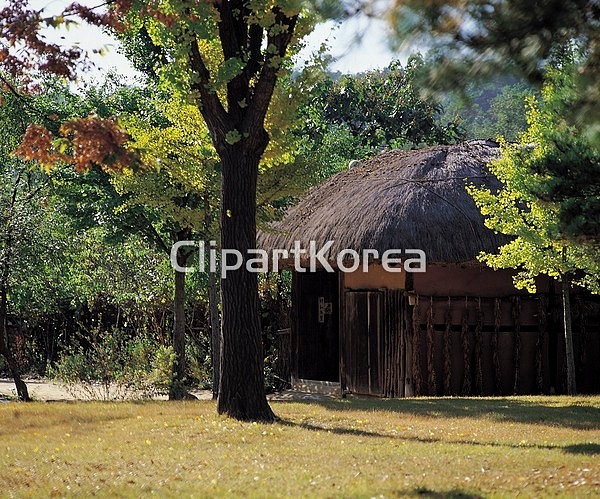 국내작가포토 - 클립아트코리아 :: 통로이미지(주) __적합한콘텐츠,가을,계절,공원,나무,낮,민속촌,시골집,실외,에디토리얼,주택,한국