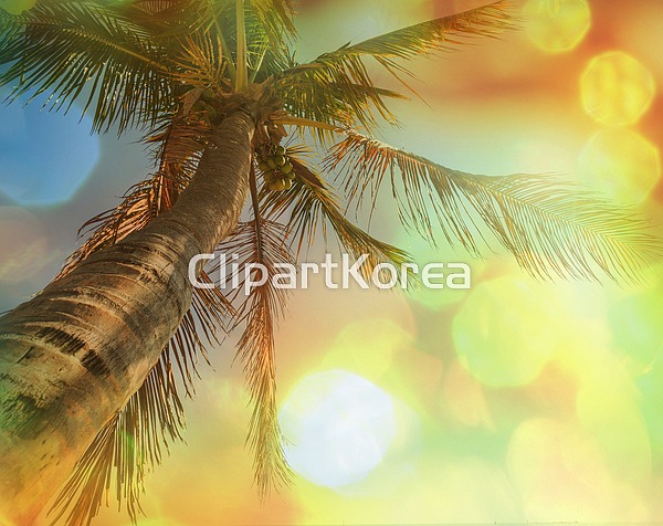 (주) __적합한콘텐츠,고요,관광객,나무,레저,리조트,모래,물,물결,바다... 파라다이스,파라솔,편안함,풍경[경치],해변,해안,해외포토,휴가,휴게실,휴식