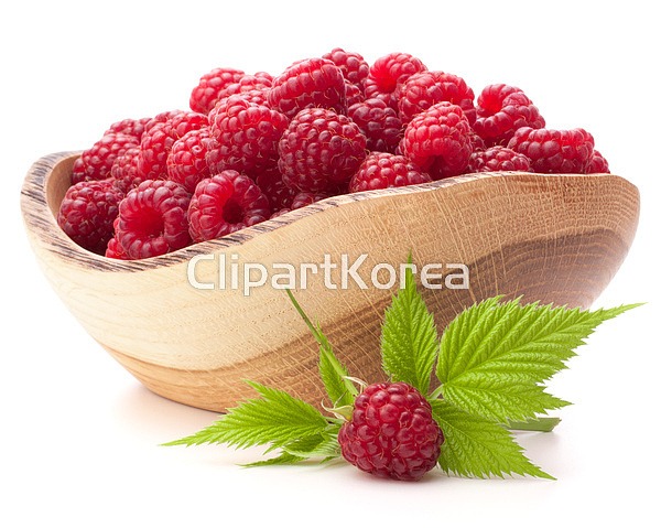(주) __적합한콘텐츠,가득함,건강,날것,누끼,달콤함,디저트,라즈베리,목재,베리,볼,분홍색,비타민,빨간색,사람없음,산딸기,스튜디오,식이요법,신선... 