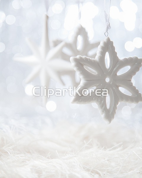 계절,계획,그림,꿈,매끄러움,매달리기,반짝임,밝음,백그라운드,별,보케,빛,사람없음,사랑,사진,새로움,섬세함,숫자,신비,오너먼트,장식,종교,천국... 