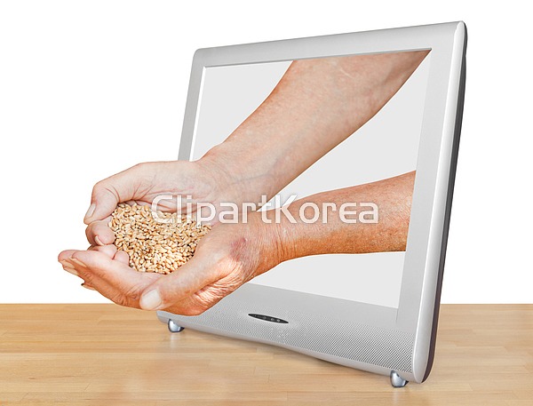 멀티미디어,모니터,밀,비디오,성장,손,손바닥,수확,숙성,스크린,시골,식물,심벌,씨,얇음,옥수수,은,잡기,재배,제스처,직업인,진열,컴퓨터,해외포토... 