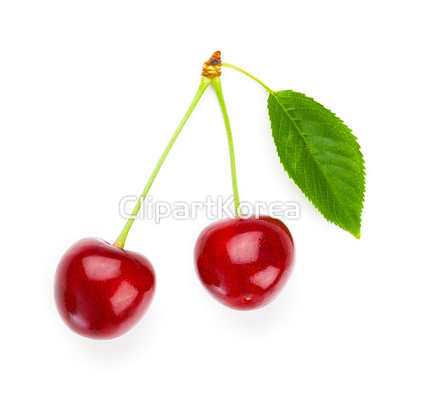 해외작가포토 - 클립아트코리아 :: 통로이미지(주) __적합한콘텐츠,가득함,디저트,베리,빨간색,숙성,신선,앵두,열매,음식,체리,페이지,해외포토