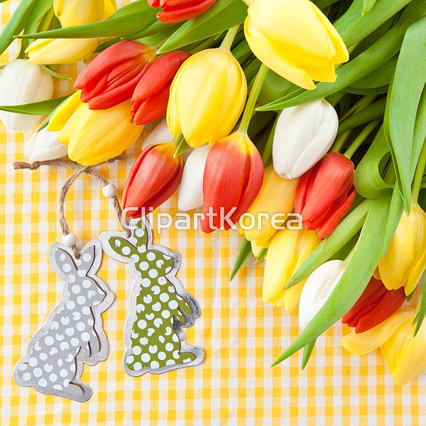 통로이미지(주) __적합한콘텐츠,고요,꽃,꽃다발,노란색,다이아몬드,밝음,백그라운드,봄,빛,빨간색,사랑,색,선물,시골풍,식물,신선,장식,점,체크무늬... 