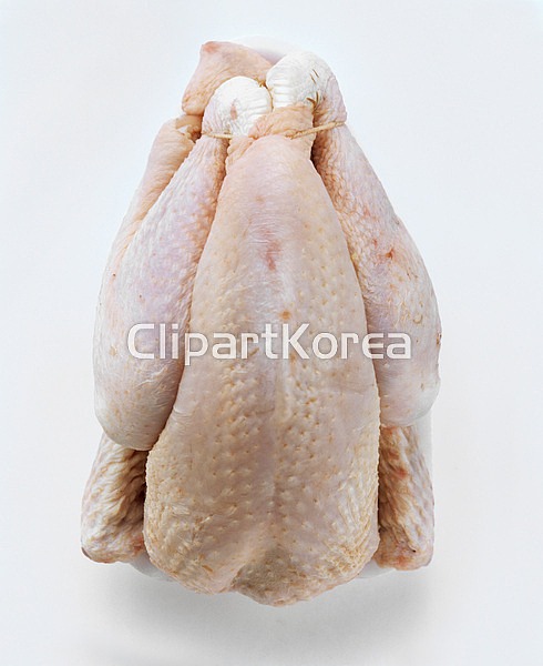 해외작가포토 - 클립아트코리아 :: 통로이미지(주) __적합한콘텐츠,구이,누끼,닭고기,로스트치킨,사람없음,신선,육류,음식,음식재료,클로즈업... 