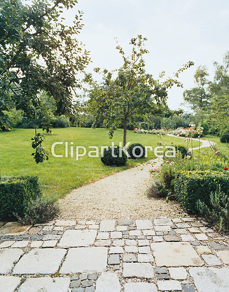 해외작가포토 - 클립아트코리아 :: 통로이미지(주) __적합한콘텐츠,꽃,꽃밭,나무,덤불,독일,뒤뜰,바이에른주,사과나무,시골,식물,실외,여름,여행... 