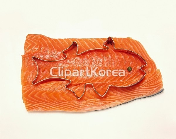 해외작가포토 - 클립아트코리아 :: 통로이미지(주) 1,__적합한콘텐츠... 음식,음식재료,커터,쿠키,필레,하이앵글,해외포토,해외프리미엄콜렉션,훈제