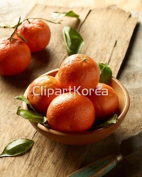 주) __적합한콘텐츠,과일,귤,다수,목재,볼,사람없음,스튜디오,신선,실내,아웃포커스,오렌지,유기농,음식,음식재료,잎,칼,클로즈업,페인팅,함지박... 