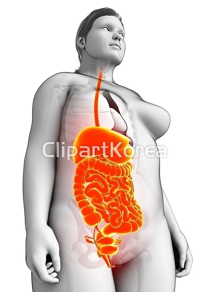 해외작가포토 클립아트코리아 통로이미지 주