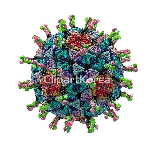 해외작가포토 - 클립아트코리아 :: 통로이미지(주) __적합한콘텐츠,누끼,미생물,미생물학,바이러스,생물학,세균,의약품,의학,일러스트,파티클... 