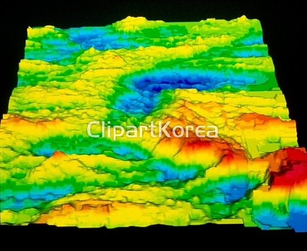 해외작가포토 - 클립아트코리아 :: 통로이미지(주) __적합한콘텐츠,갈라파고스제도,수중,해외포토,해외프리미엄콜렉션