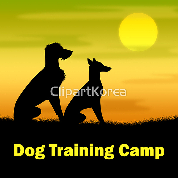 해외작가포토 - 클립아트코리아 :: 통로이미지(주) __적합한콘텐츠,강아지,교육,기술,반려동물,설명,캠핑,코치,트레이너,훈련