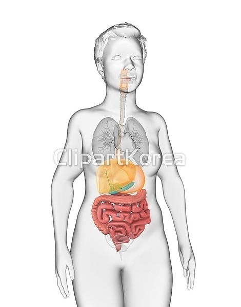 해외작가포토 클립아트코리아 통로이미지 주