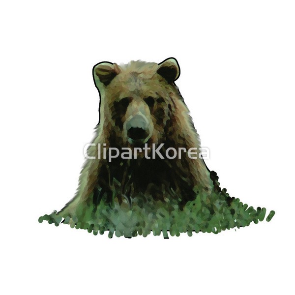 일러스트 - 클립아트코리아 :: 통로이미지(주) __적합한콘텐츠,곰,동물,생물학,포유류
