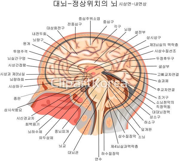 021b1219 | 멤버십 국내 일러스트