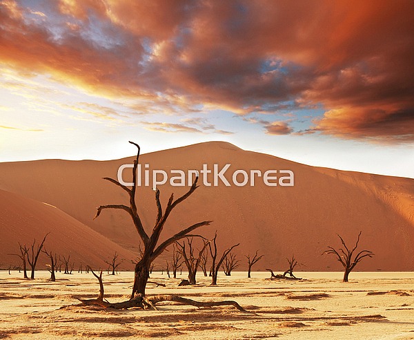 클립아트코리아 - 통로이미지