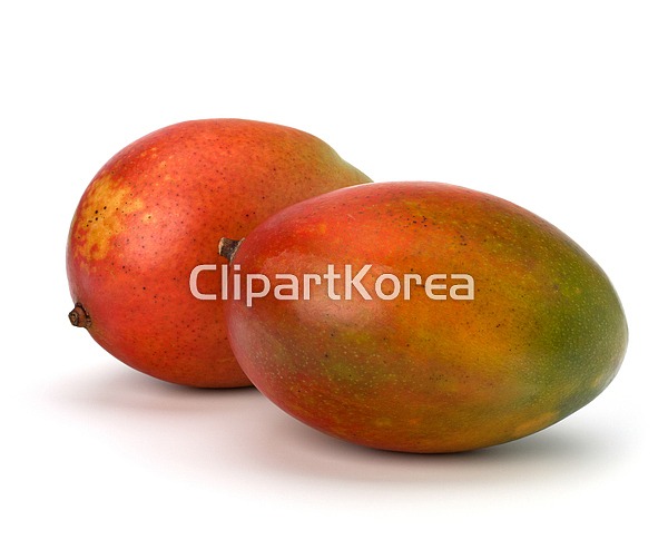 해외작가포토 - 클립아트코리아 :: 통로이미지(주) __적합한콘텐츠,건강,깨끗함,껍질,날것,누끼,다이어트,달콤함,망고,비타민,빨간색,신맛,신선... 