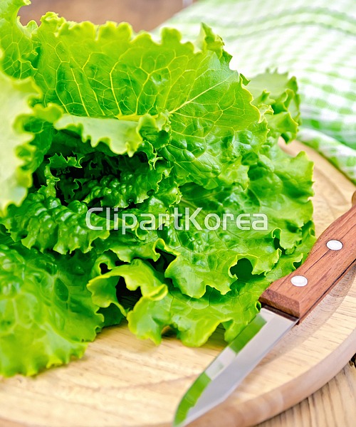 cm08369841 / JPG - 멤버십 해외작가포토
