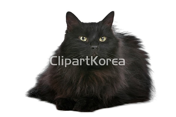 cm08579820 | 멤버십 해외 포토