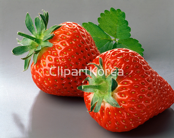 pc003358760 / JPG - 멤버십 해외작가포토