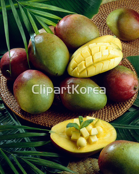 pc003363766 / JPG - 멤버십 해외작가포토