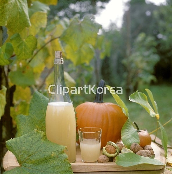pc003634536 / JPG - 멤버십 해외작가포토