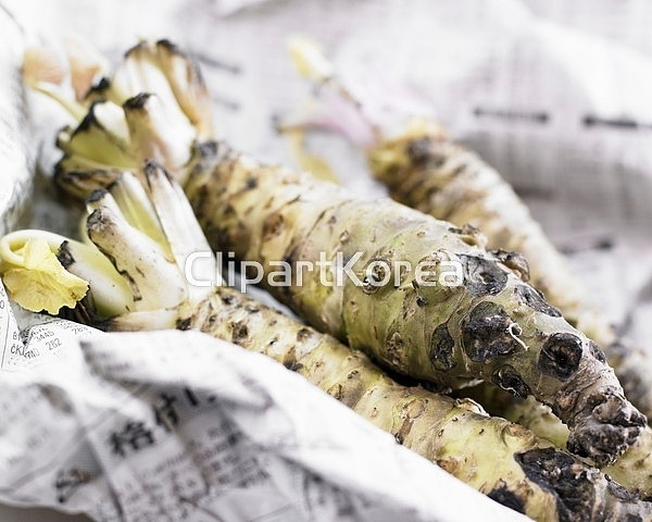 해외작가포토 - 클립아트코리아 :: 통로이미지(주) 해외작가포토 - 클립아트코리아 :: 통로이미지(주)