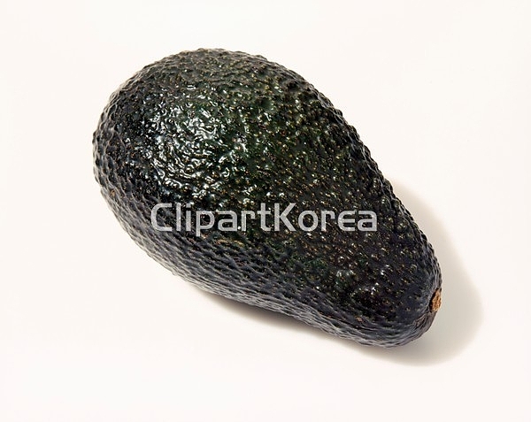 해외작가포토 - 클립아트코리아 :: 통로이미지(주) 1,__적합한콘텐츠,사람없음,신선,아보카도,음식,음식재료,채소,해외포토,해외프리미엄콜렉션