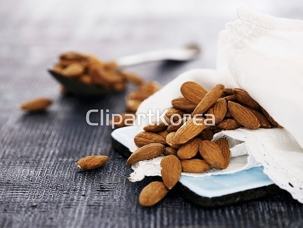 pc003926130 / JPG - 멤버십 해외작가포토