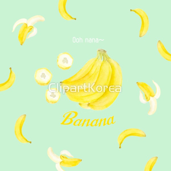 바나나 단면