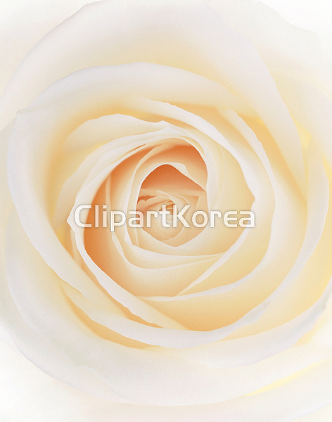 pc004000313 / JPG - 멤버십 해외작가포토