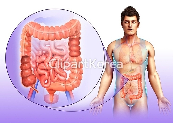 해외작가포토 클립아트코리아 통로이미지 주