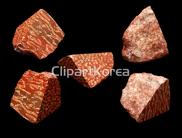 pc004479195 / JPG - 멤버십 해외작가포토