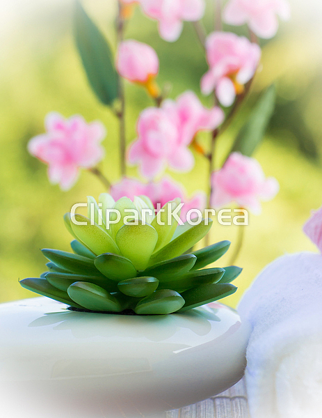 (주) __적합한콘텐츠,건강,고급,관리,미용실,보디케어,뷰티,소중,수건,스파,아로마테라피,안마[마사지],여유,웰빙,치료,편안함,피부관리,활력
