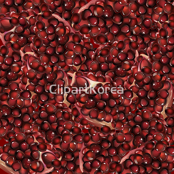 해외작가포토 - 클립아트코리아 :: 통로이미지(주) CG,__적합한콘텐츠,과일,광고,누끼,디저트,라벨,빨간색,석류,수확,식당,신선,엠블럼,요리,요리사... 