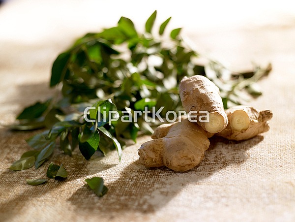 해외작가포토 - 클립아트코리아 :: 통로이미지(주) 동양음식,생강,아시아,음식재료,전통,해외포토,해외프리미엄콜렉션,향신료