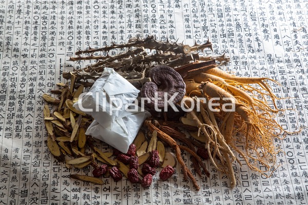 cm260029377 | 멤버십 국내 포토
