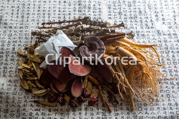 cm260029378 | 멤버십 국내 포토