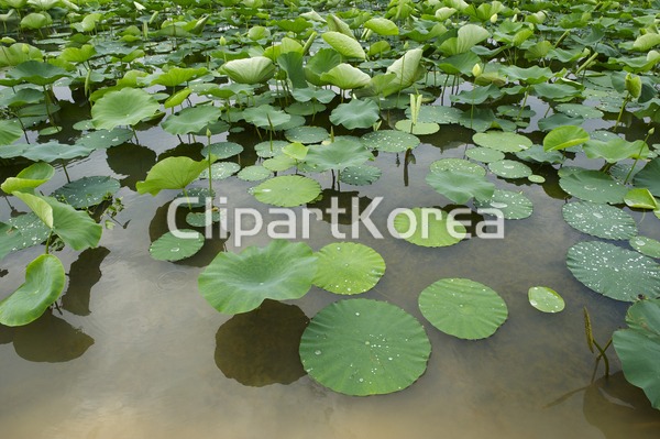 tc00240078182 | 멤버십 국내 포토