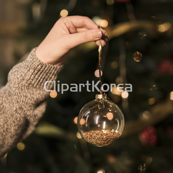 td02240002051 / JPG - 멤버십 해외작가포토