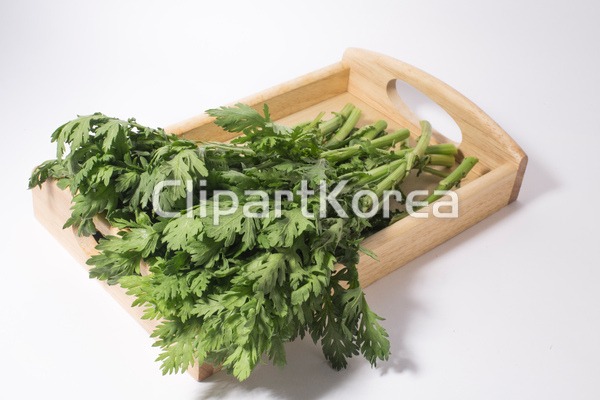 tc03090000550 | 멤버십 국내 포토