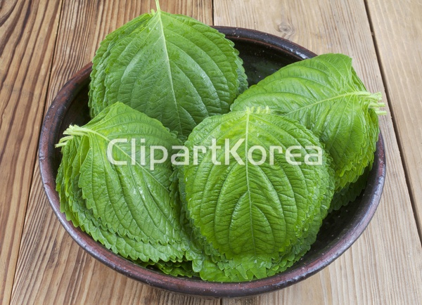 tc00240098767 | 멤버십 국내 포토