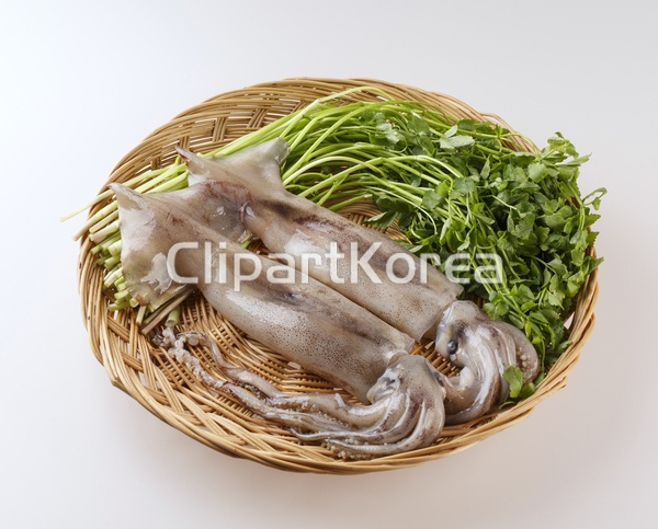클로즈업,날것,오징어,미나리,줄기,잎,소쿠리 / tc00240099796 / JPG - 멤버십 국내작가포토
